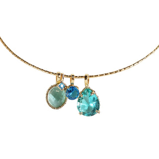 Collar Rígido Blue